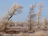 winter 2022 leenderheide